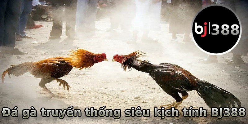 Đá gà truyền thống