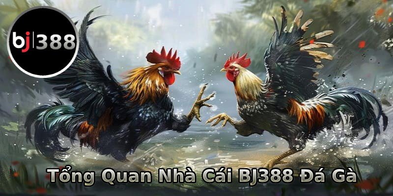 Giới thiệu tổng quan về nhà cái BJ388